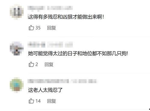 爆料婆婆视频大全集,揭秘家庭生活点滴  第3张